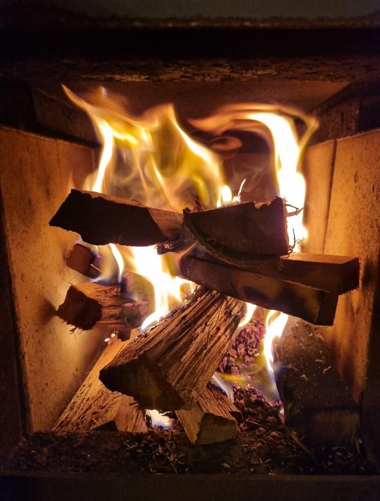 Suíte Fortaleza – Cabana de Luxo na Natureza