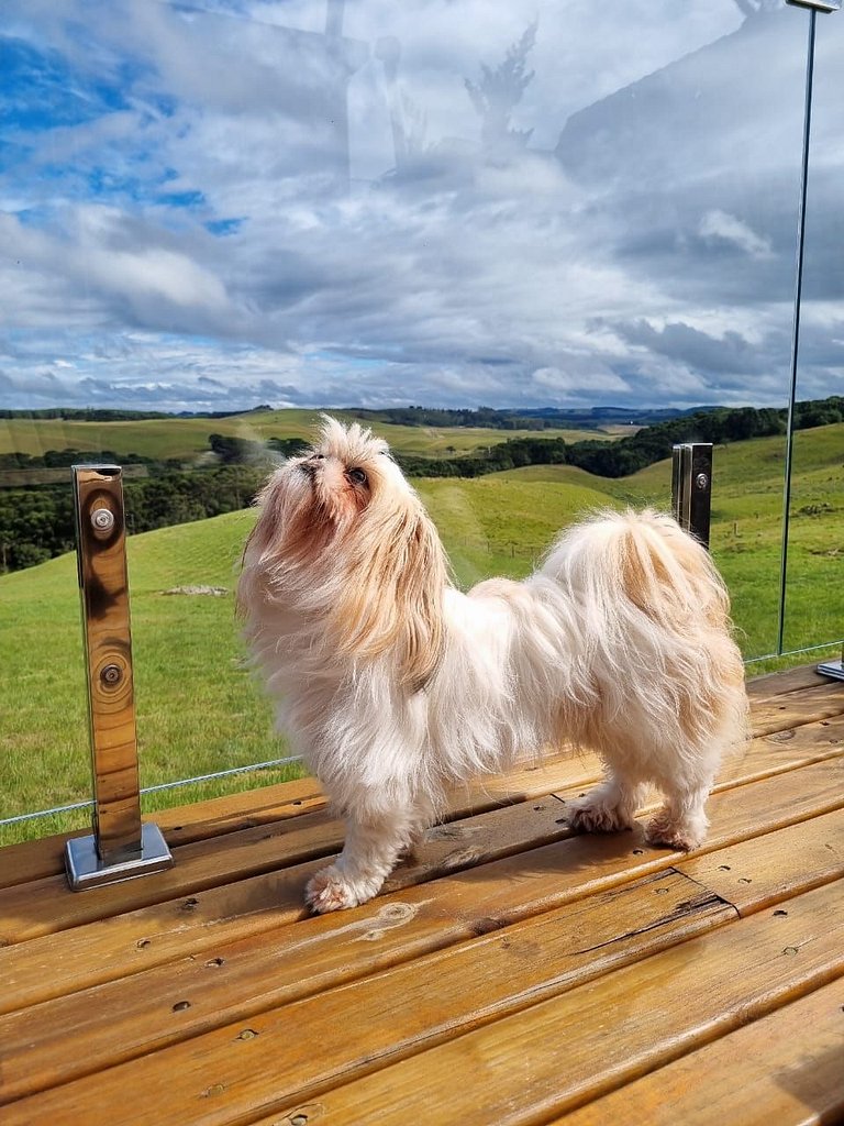 Fortaleza – Cabana de Luxo na Natureza